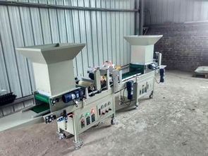 气吸针头式全自动蔬菜花卉种子穴盘精量播种机 现代精准农业的高效利器